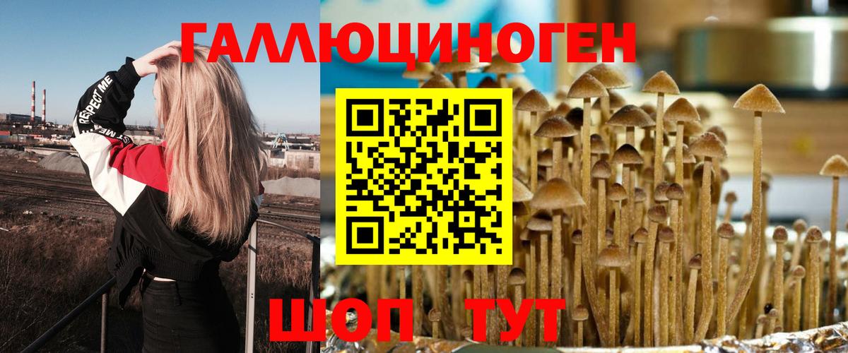 Галлюциногенные грибы GOLDEN TEACHER  Вход с VPN  Южноуральск 